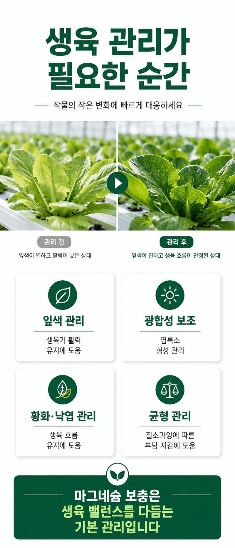농업마켓365님의 장터 판매 상품 [K+S 독일산 황산마그네슘 7수염 25kg 양액용 관비용 광합성 촉진] 첨부 사진