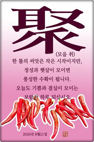 정진해님의 자유주제·자유게시판 작성글 사진