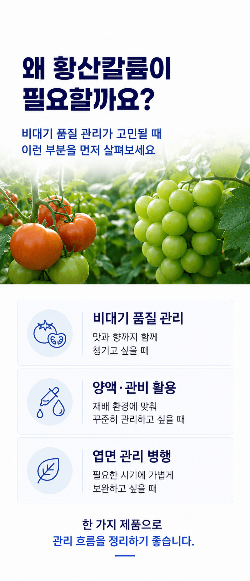 농업마켓365님의 장터 판매 상품 [JMC 황산칼륨 0-0-51 25KG 양액재배 관비재배 수용성비료] 첨부 사진