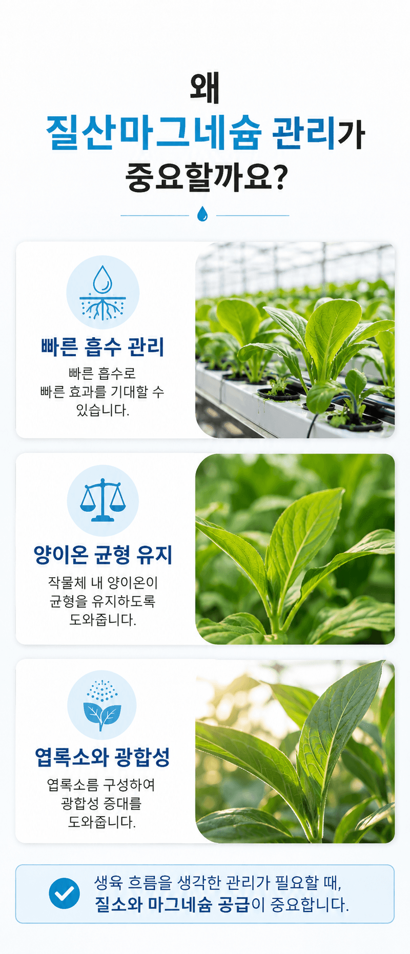 농업마켓365님의 장터 판매 상품 [질산마그네슘(그래뉼) 수용성 비료 25kg 양액비료 관주비료 광합성 촉진] 첨부 사진