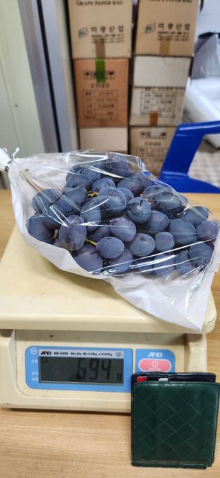 도기백님의 작성글 사진