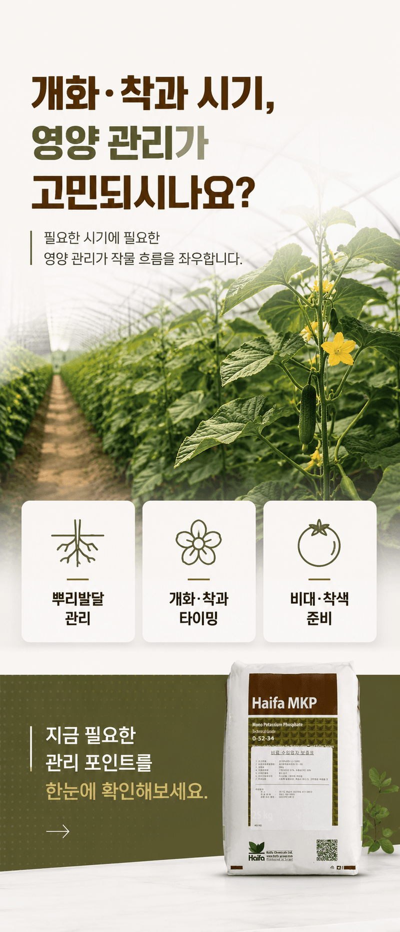 농업마켓365님의 장터 판매 상품 [제1인산칼륨 25KG 하이파케미칼 이스라엘 수입산 인산가리비료 인산칼륨양액용] 첨부 사진