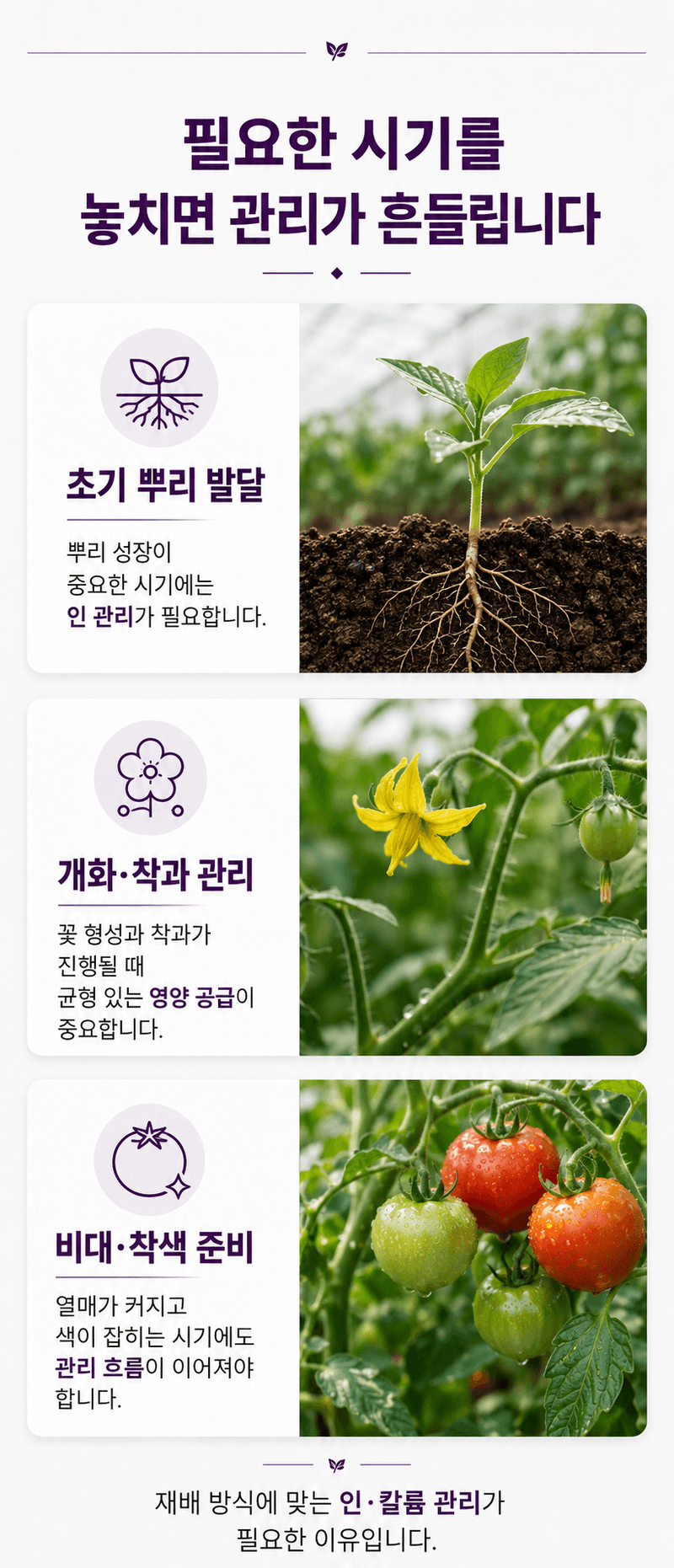 농업마켓365님의 장터 판매 상품 [MKP 인산칼륨 25KG P52 K34 고인산 고칼륨 수용성 비료 양액비료 관주비료] 첨부 사진