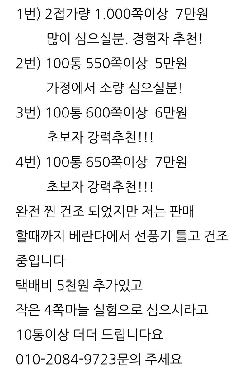 삼성농산님의 장터 판매 상품 [단단한 홍산마늘 2접가량 판매] 첨부 사진