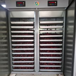 오영도님의 자유주제 · 자유게시판 작성글 사진