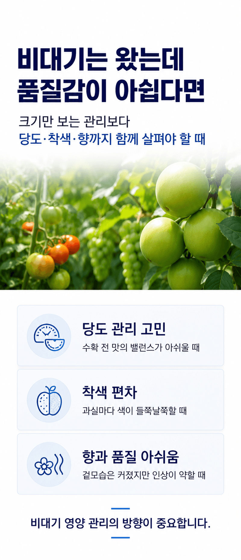 농업마켓365님의 장터 판매 상품 [JMC 황산칼륨 0-0-51 25KG 양액재배 관비재배 수용성비료] 첨부 사진