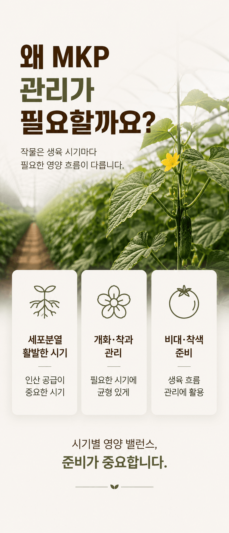 농업마켓365님의 장터 판매 상품 [제1인산칼륨 25KG 하이파케미칼 이스라엘 수입산 인산가리비료 인산칼륨양액용] 첨부 사진