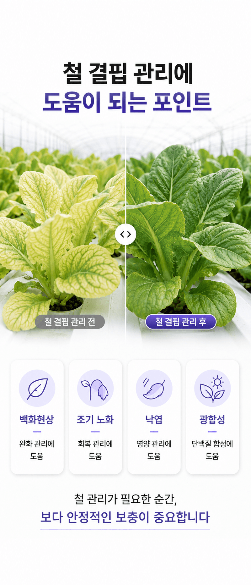 농업마켓365님의 장터 판매 상품 [유로솔리드 DTPA 철 6% 20L 폴란드 수입산 액상 철분비료 양액 관비용] 첨부 사진