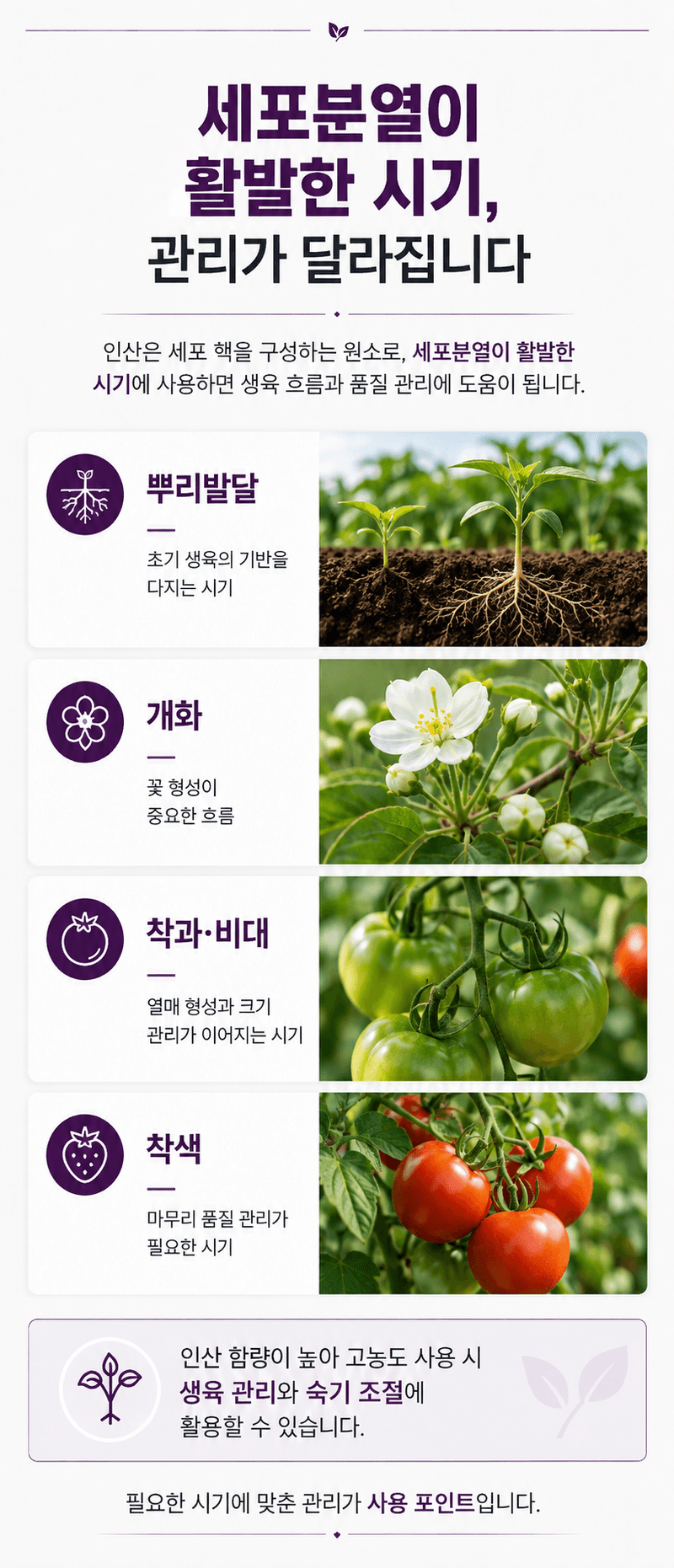 농업마켓365님의 장터 판매 상품 [MKP 인산칼륨 25KG P52 K34 고인산 고칼륨 수용성 비료 양액비료 관주비료] 첨부 사진