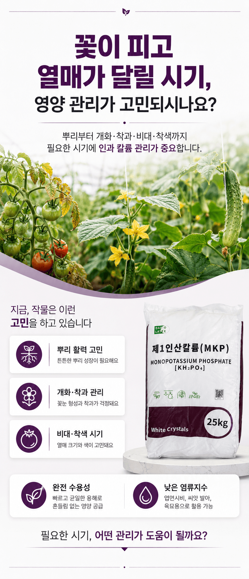 농업마켓365님의 장터 판매 상품 [MKP 인산칼륨 25KG P52 K34 고인산 고칼륨 수용성 비료 양액비료 관주비료] 첨부 사진