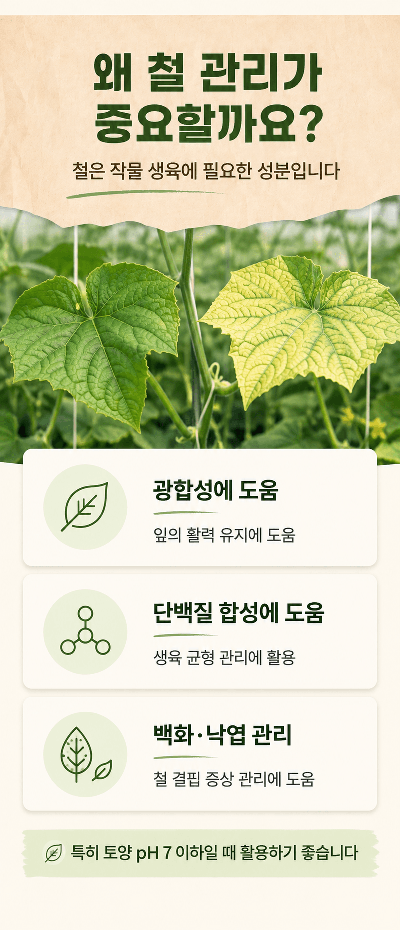 농업마켓365님의 장터 판매 상품 [킬레이트철 EDTA FeNa 13 수용성 비료 25KG 양액비료 관주비료 백화케어] 첨부 사진