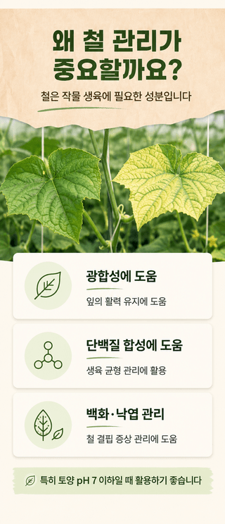 농업마켓365님의 작성글 사진