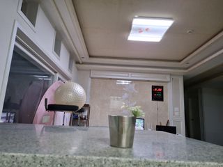 게으른뱅이잔디꽃님의 자유주제 · 자유게시판 작성글 사진