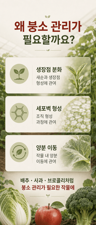 농업마켓365님의 작성글 사진
