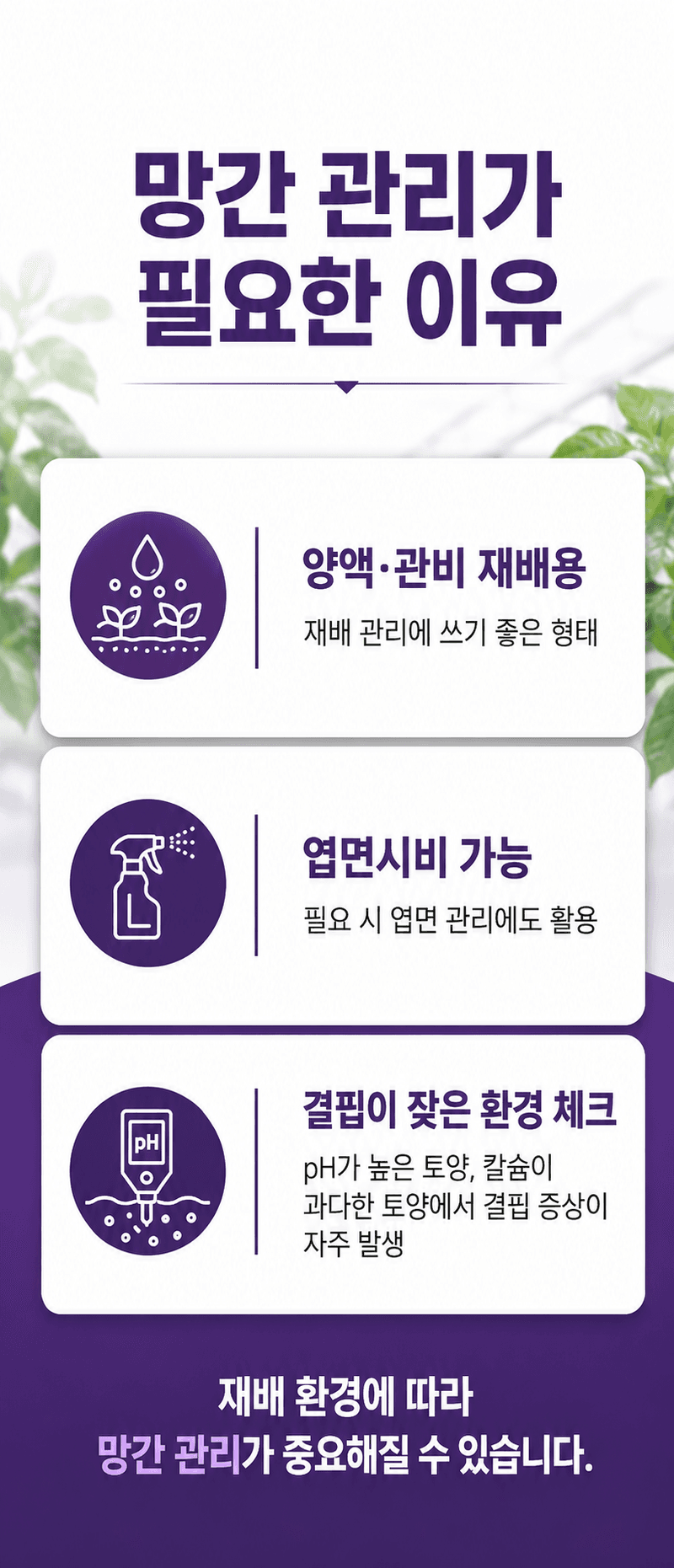 농업마켓365님의 장터 판매 상품 [황산망간 1수염 25kg Mn31.8 양액재배 관비재배용] 첨부 사진