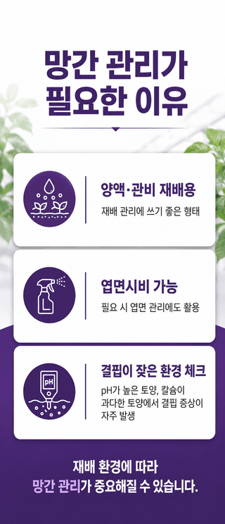 농업마켓365님의 작성글 사진