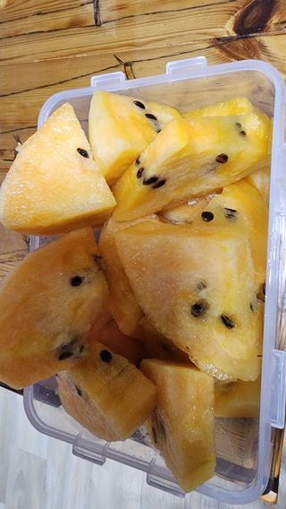 김선례님의 농사, 무엇이든 물어보세요!·참여글 작성글 사진