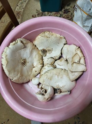 강인규님의 자유주제·자유게시판 작성글 사진