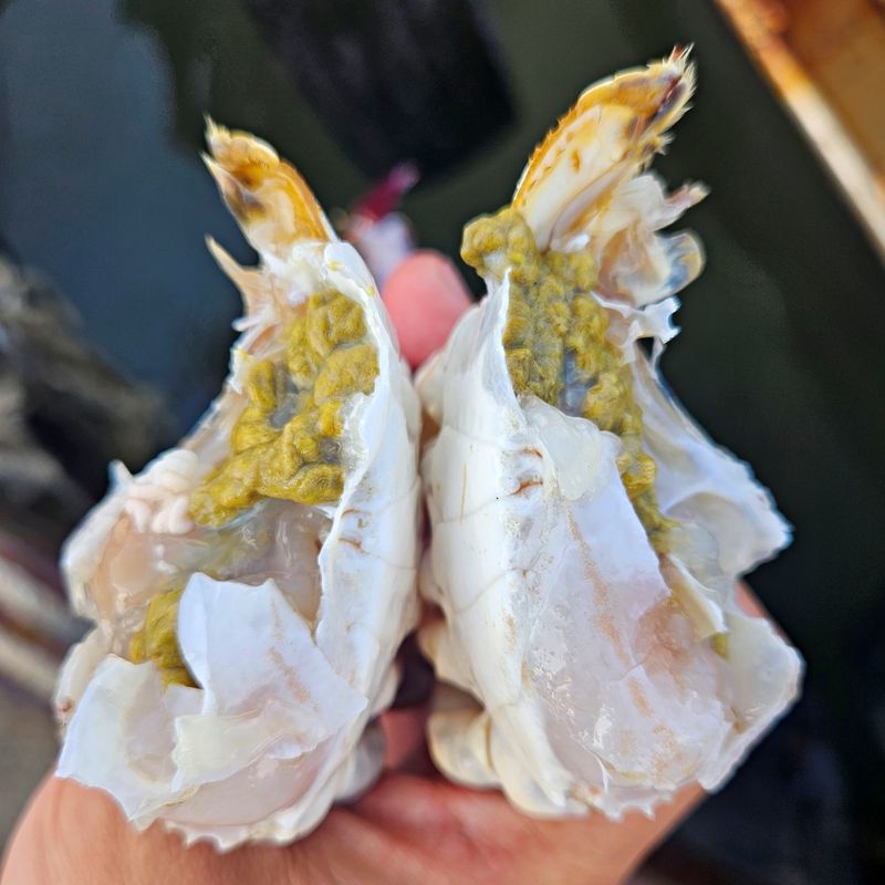 장터 상품 [국내산 활 숫꽃게 2kg 가을 제철 생물 산지직송 찜 탕] 썸네일
