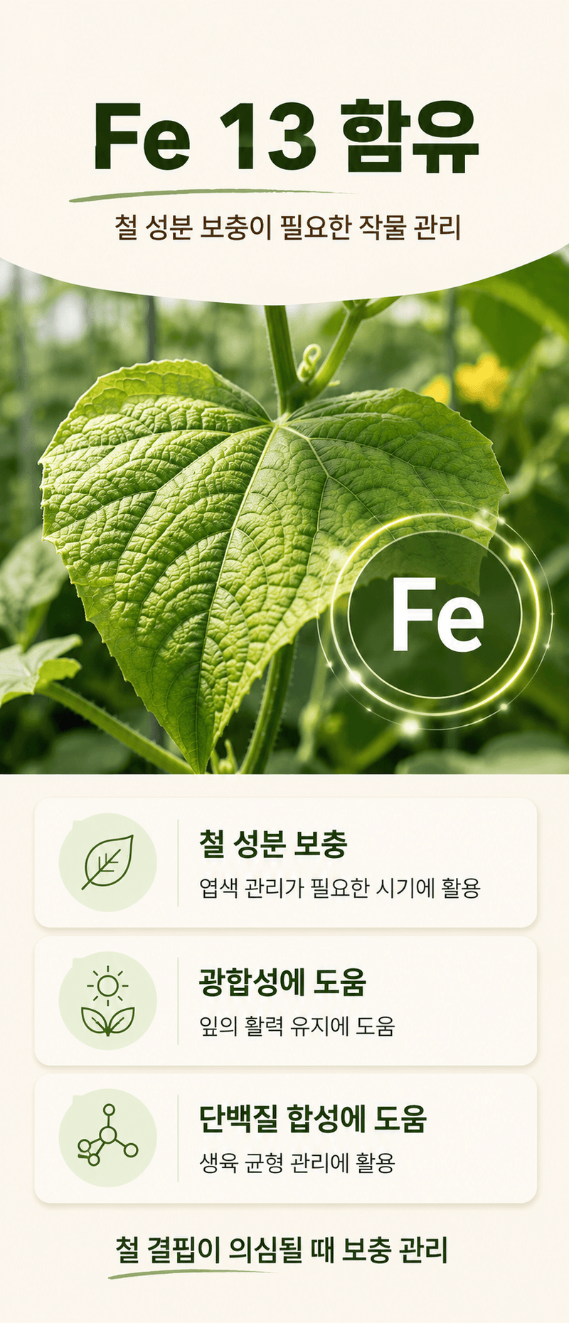 농업마켓365님의 장터 판매 상품 [킬레이트철 EDTA FeNa 13 수용성 비료 25KG 양액비료 관주비료 백화케어] 첨부 사진
