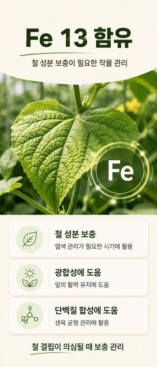 농업마켓365님의 작성글 사진