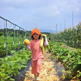 보은 김영순님의 자유주제 · 자유게시판 작성글 사진