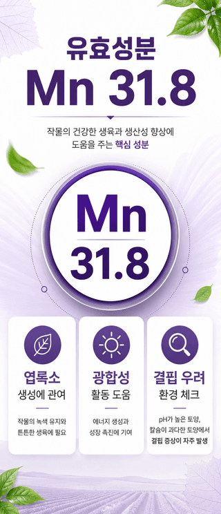 농업마켓365님의 작성글 사진