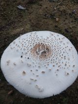 김정석님의 자유주제·자유게시판 작성글 사진