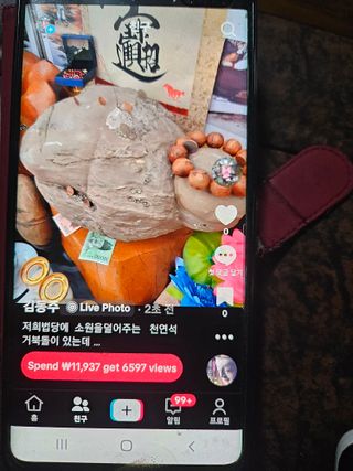김효숙님의 자유주제 · 자유게시판 작성글 사진