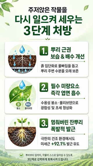 이재희(농빛)님의 농사, 무엇이든 물어보세요! · 참여글 작성글 사진