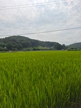 Kns4324님의 자유주제·자유게시판 작성글 사진