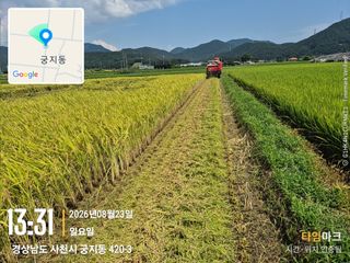 사천시향촌동 돼지띠님의 자유주제 · 자유게시판 작성글 사진