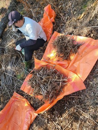 김낙성님의 작성글 사진