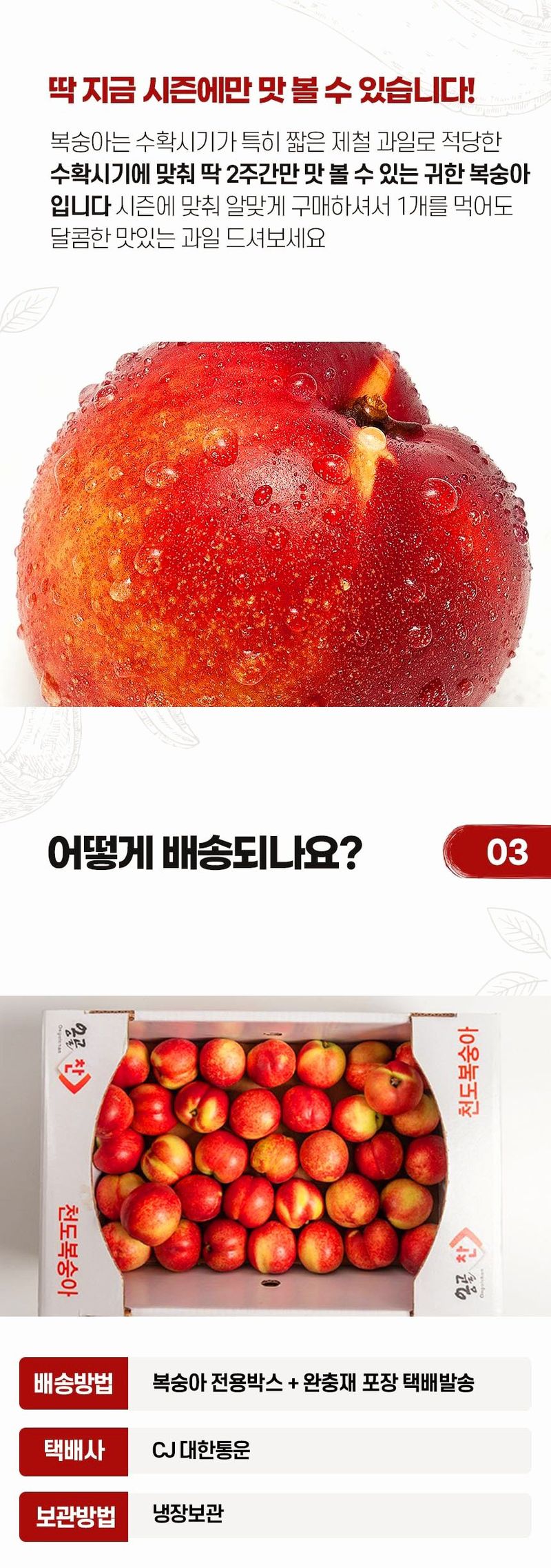 자두14488님의 장터 판매 상품 [천도 복숭아 꼬마과 5kg (58-69과)] 첨부 사진