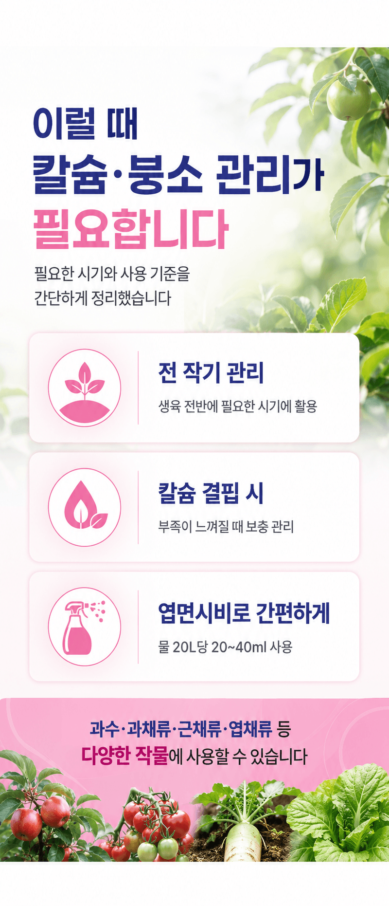 농업마켓365님의 장터 판매 상품 [파워칼B 액제 500ml 칼슘 21% 붕소 4% 식물칼슘제 유기산킬레이트칼슘 식물영양제] 첨부 사진
