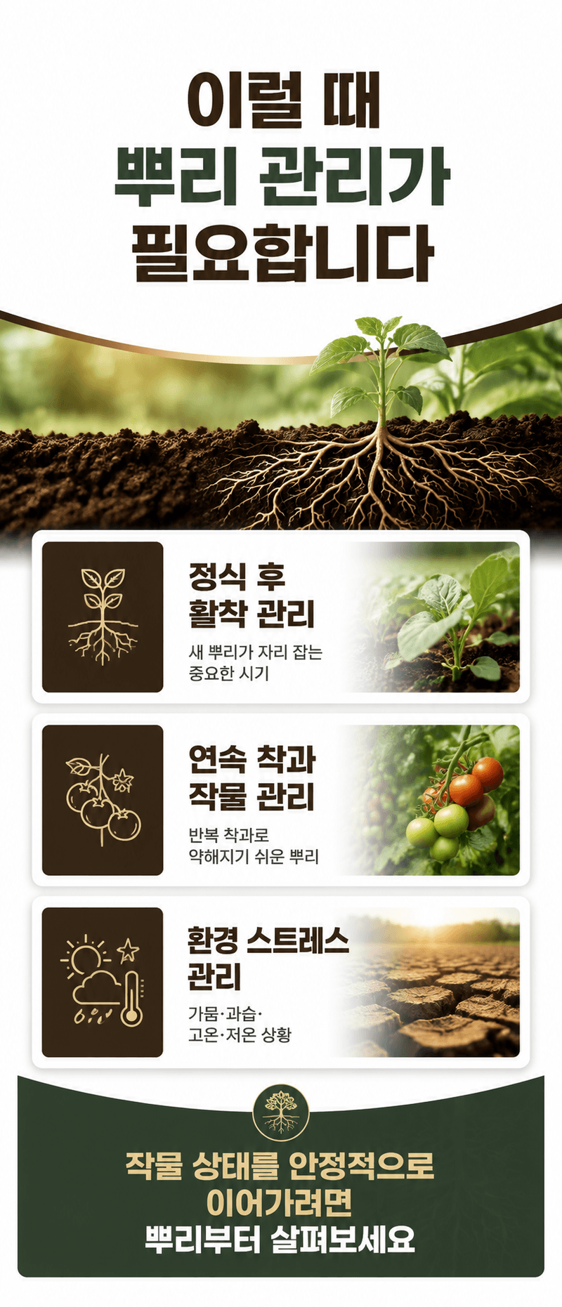 농업마켓365님의 장터 판매 상품 [루트맥스 2L 뿌리발근제 해조추출물 아미노산 활착제 뿌리활력 식물영양제] 첨부 사진