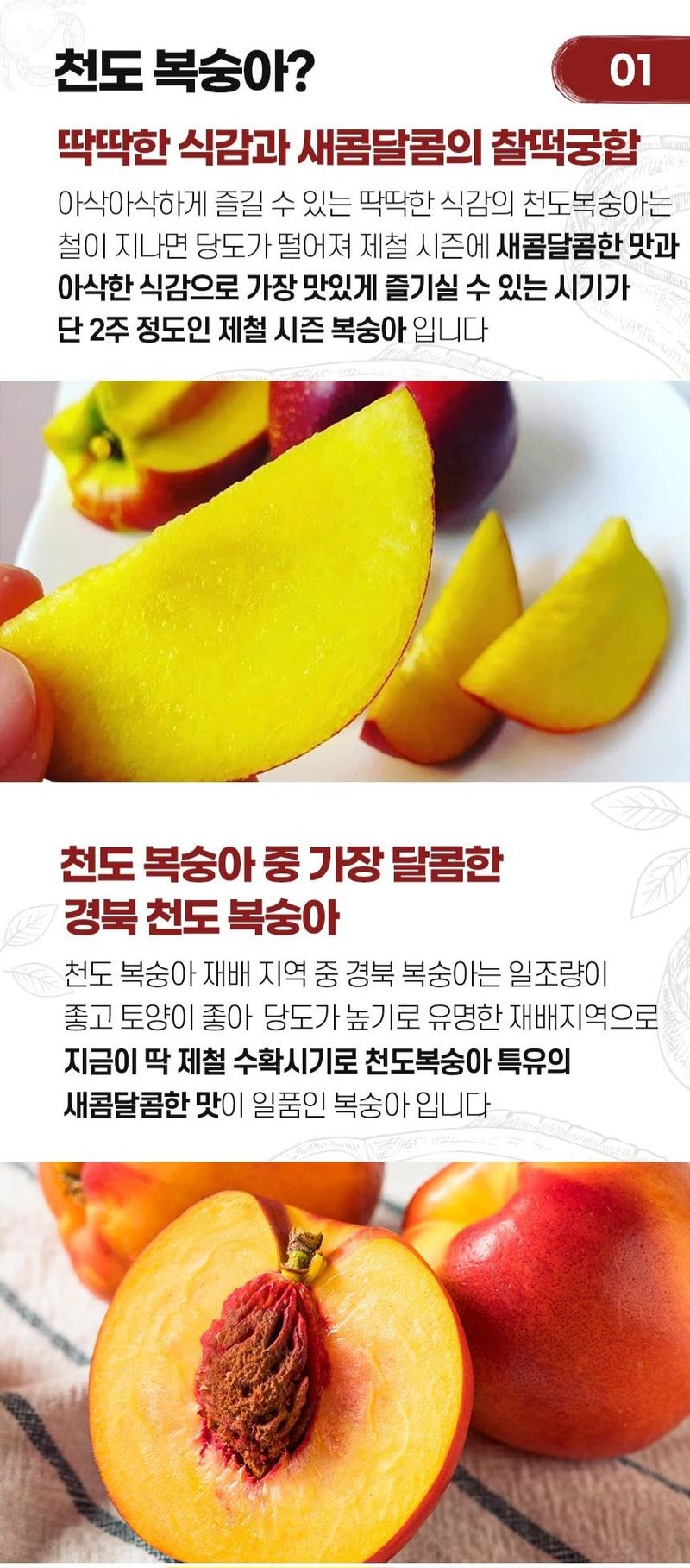 자두14488님의 장터 판매 상품 [천도 복숭아 꼬마과 5kg (58-69과)] 첨부 사진
