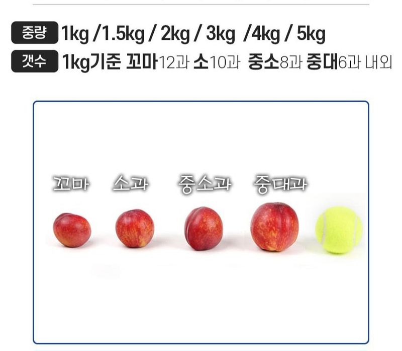 자두14488님의 장터 판매 상품 [천도 복숭아 꼬마과 5kg (58-69과)] 첨부 사진