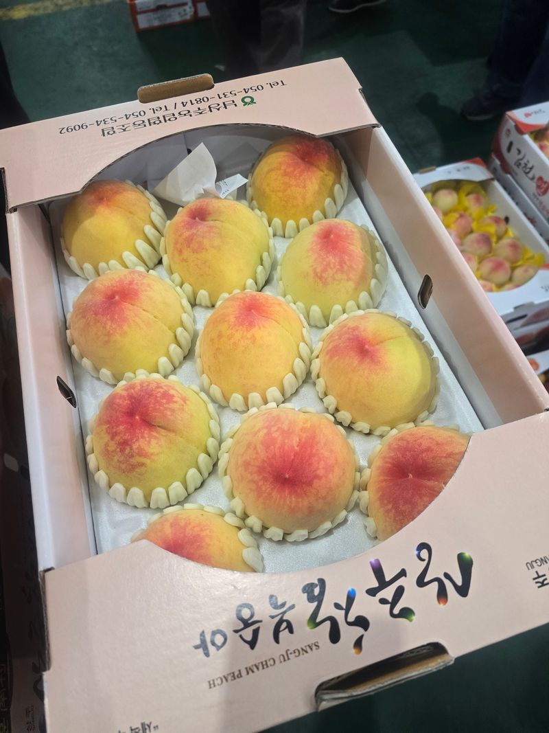 메종루엘님의 장터 판매 상품 [말랑이 털복숭아 ] 첨부 사진
