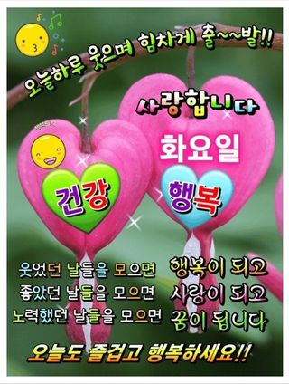 Kns4324님의 자유주제 · 자유게시판 작성글 사진