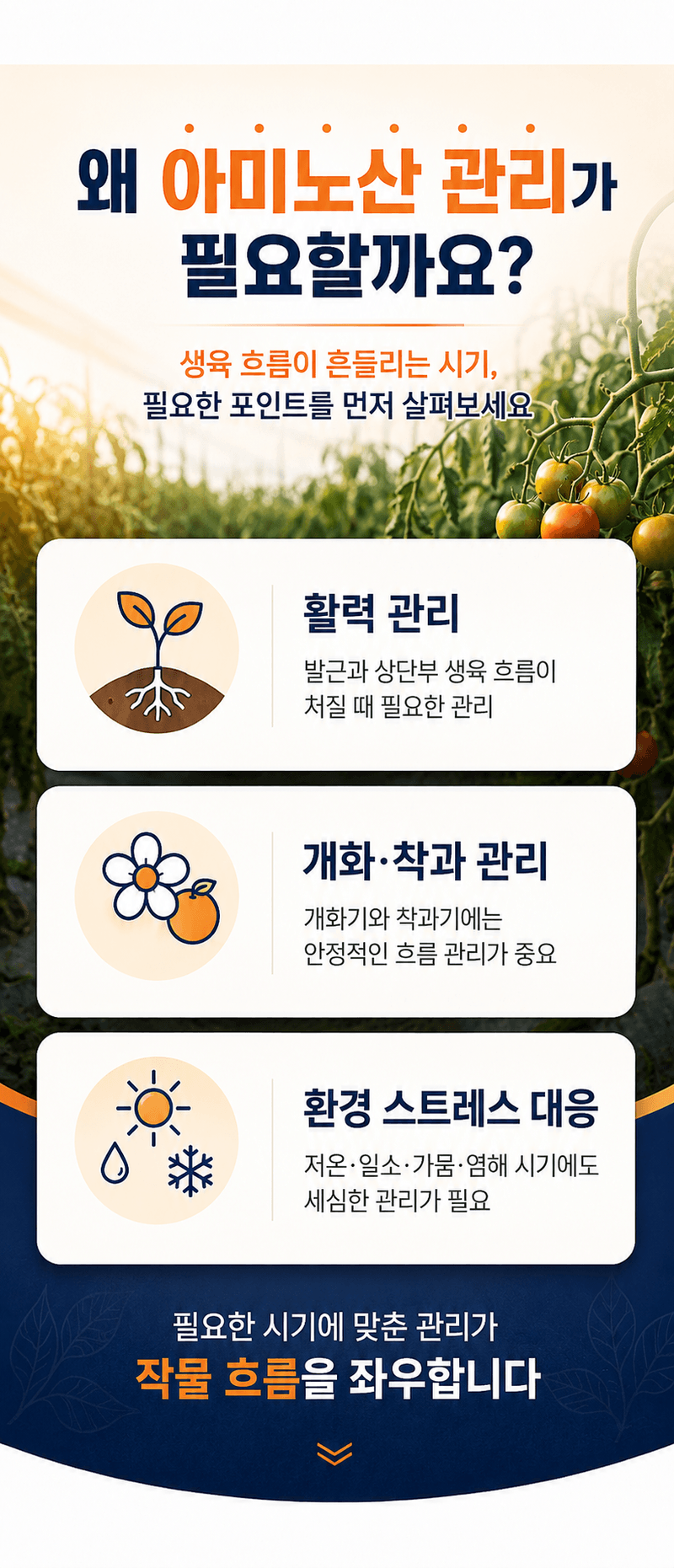 농업마켓365님의 장터 판매 상품 [아미노50 500ml 고농축 L-아미노산영양제 식물영양제 생육활력제] 첨부 사진