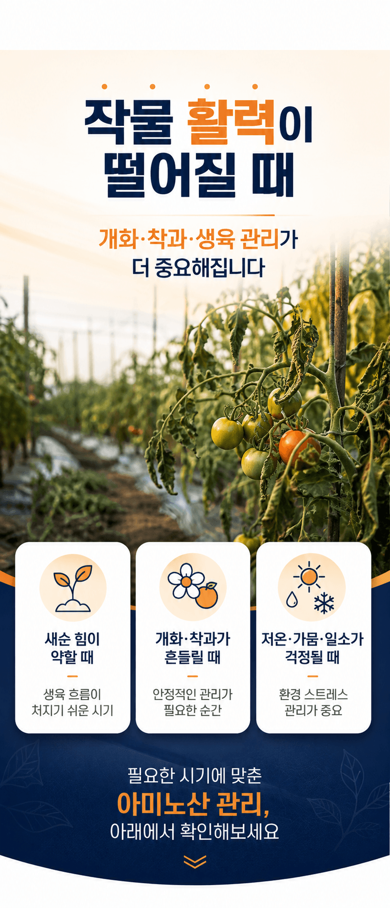 농업마켓365님의 장터 판매 상품 [아미노50 500ml 고농축 L-아미노산영양제 식물영양제 생육활력제] 첨부 사진