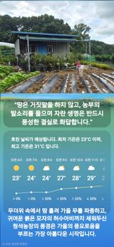 팜모닝 자유주제·자유게시판 게시글 이미지