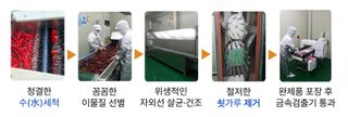 박수정님의 작성글 사진