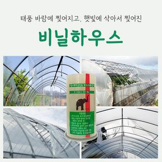 오훈조님의 작성글 사진