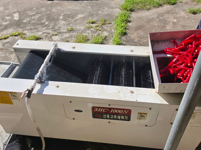 강미향님의 장터 판매 상품 [2026년햇건고추.고춧가루판매합니다.] 첨부 사진