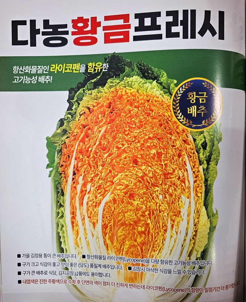 한농농약종묘사님의 장터 판매 상품 [[황금배추모종] 황금프레시 105구] 첨부 사진