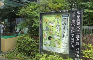 달맛햇복숭아농원님의 자유주제 · 자유게시판 작성글 사진