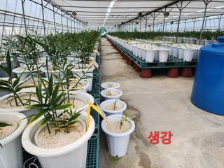 김정기 님의 자유주제 · 자유게시판 작성글 사진