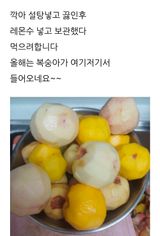 팜모닝 자유주제·자유게시판 게시글 이미지